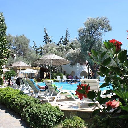 Toloman Bitezpark Apartments Bodrum Bagian luar foto