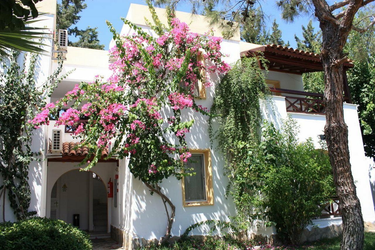 Toloman Bitezpark Apartments Bodrum Bagian luar foto